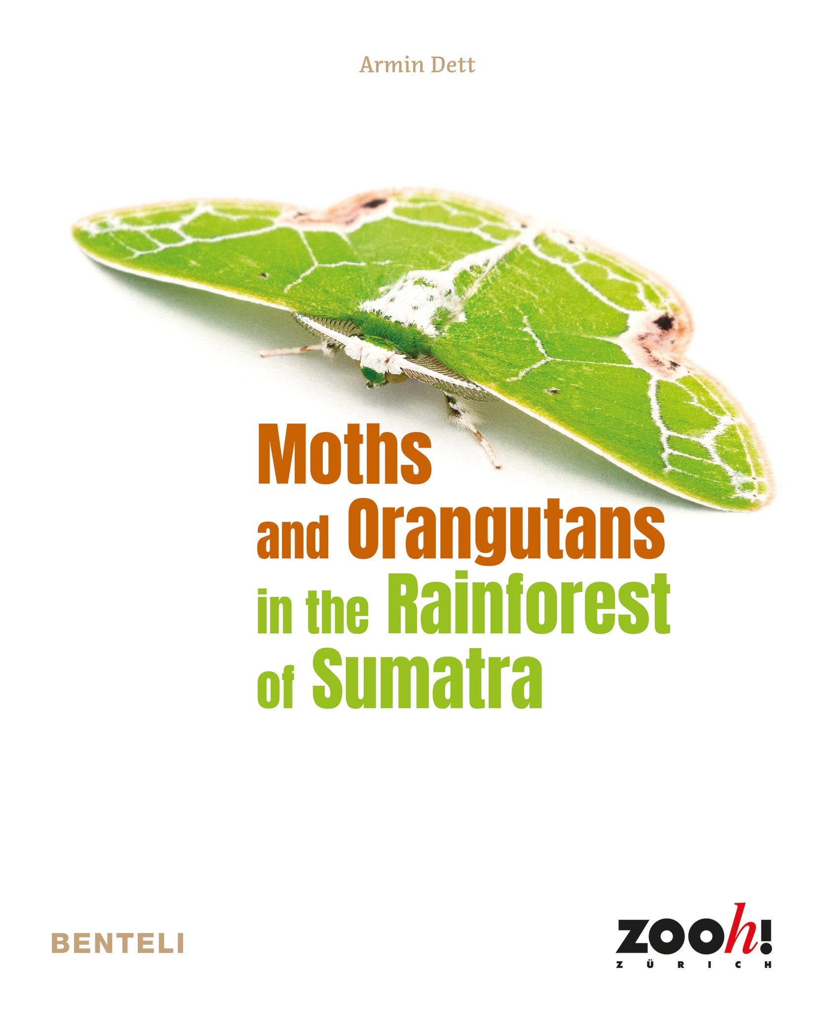 Cover image for Moths and Orangutans in the Rainforest of Sumatra ISBN 9783716518892